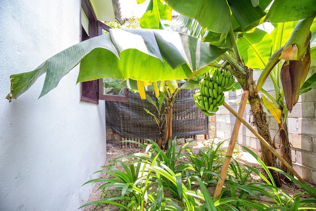 Red Flower Cottages Homestay Hoi An Exteriér fotografie